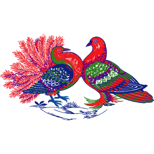 Birds Animals Birds Animals