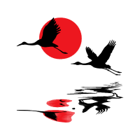 Birds Animals Birds Animals