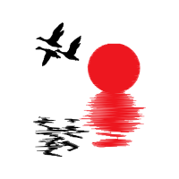 Birds Animals Birds Animals