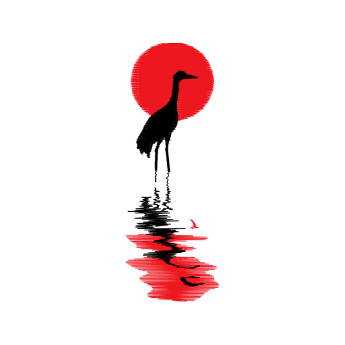 Birds Animals Birds Animals