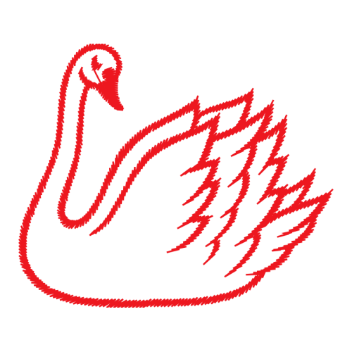 Birds Animals Birds Animals