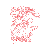 Birds Animals Birds Animals