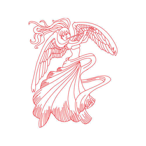 Birds Animals Birds Animals