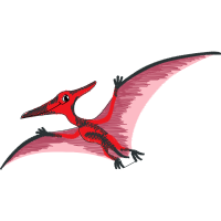 Birds Animals Birds Animals