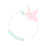 Birds Animals Birds Animals