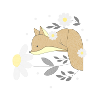 Birds Animals Birds Animals