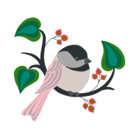 Black Capped Chickadee Animals Black Capped Chickadee Animals