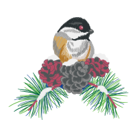 Black Capped Chickadee Animals Black Capped Chickadee Animals