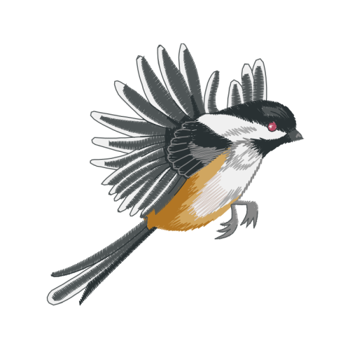 Black Capped Chickadee Animals Black Capped Chickadee Animals