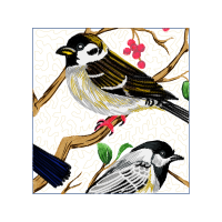 Black Capped Chickadee Animals