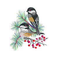 Black Capped Chickadee Animals Black Capped Chickadee Animals