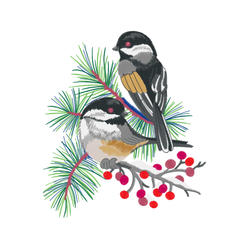 Black Capped Chickadee Animals Black Capped Chickadee Animals