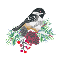 Black Capped Chickadee Animals Black Capped Chickadee Animals