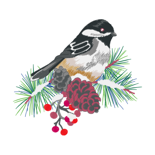 Black Capped Chickadee Animals Black Capped Chickadee Animals