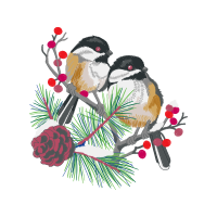 Black Capped Chickadee Animals