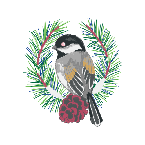 Black Capped Chickadee Animals Black Capped Chickadee Animals