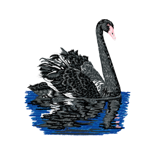 Black Swan Animals Black Swan Animals