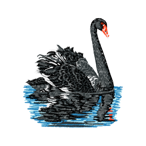Black Swan Animals Black Swan Animals