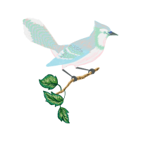 Blue Jay Animals Blue Jay Animals