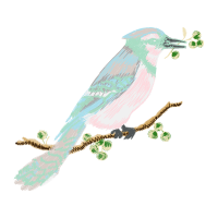 Blue Jay Animals Blue Jay Animals