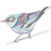 Blue Jay Animals Blue Jay Animals