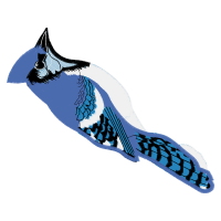 Blue Jay Animals Blue Jay Animals