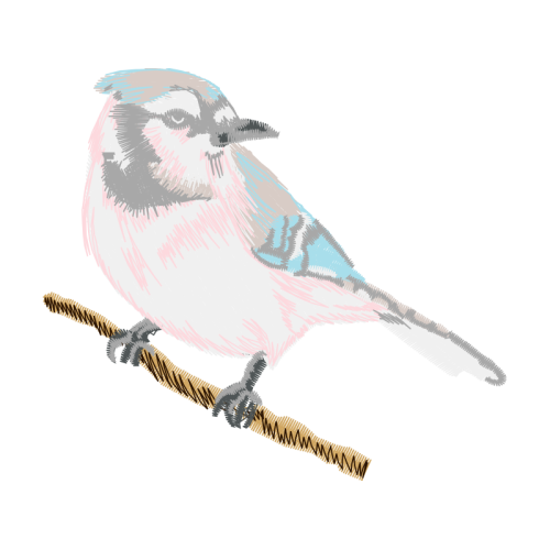 Blue Jay Animals Blue Jay Animals