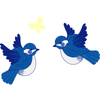 Bluebirds Animals Bluebirds Animals