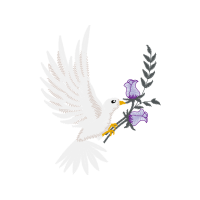 Bradford Animals Bradford Animals