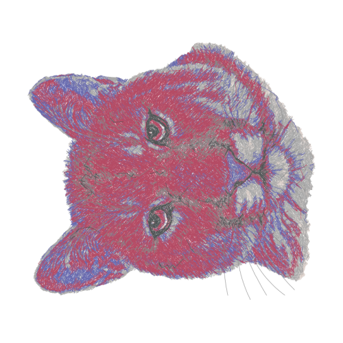 British Shorthair Animals British Shorthair Animals