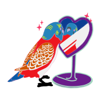 Budgerigar Animals Budgerigar Animals