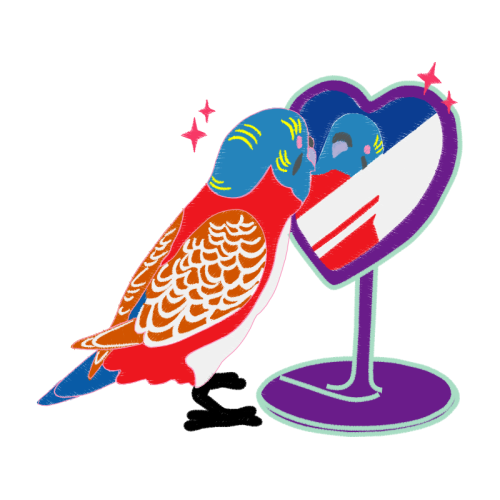 Budgerigar Animals Budgerigar Animals