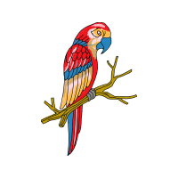 Budgerigar Animals Budgerigar Animals