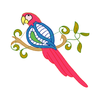 Budgerigar Animals Budgerigar Animals