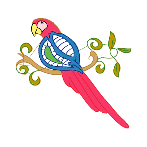 Budgerigar Animals Budgerigar Animals