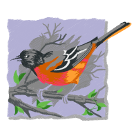 Bulbul Animals Bulbul Animals