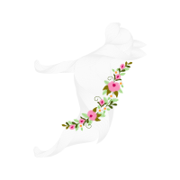 California Condor Animals California Condor Animals