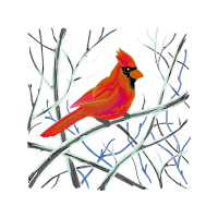 Cardinalidae Animals Cardinalidae Animals