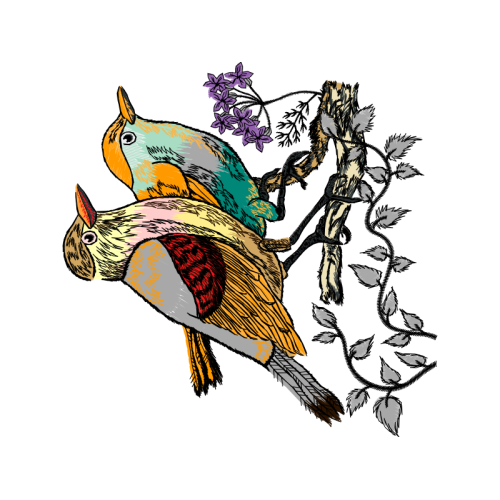 Cartoon Animals Cartoon Animals