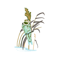 Cartoon Animals Cartoon Animals