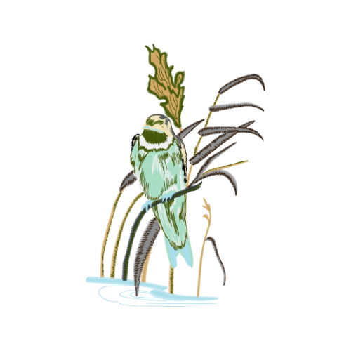 Cartoon Animals Cartoon Animals