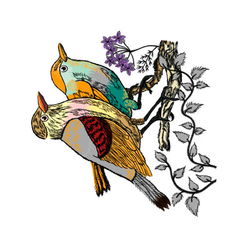 Cartoon Animals Cartoon Animals