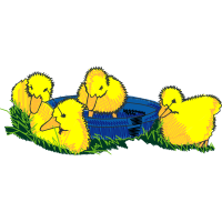 Cartoon Animals Cartoon Animals