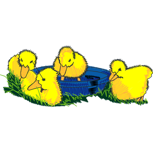 Cartoon Animals Cartoon Animals