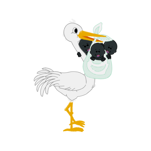 Cartoon Animals Cartoon Animals