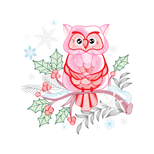 Cat Animals Cat Animals