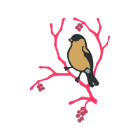 Cedar Waxwing Animals