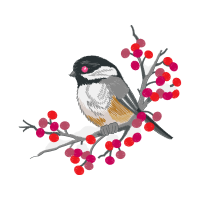 Chestnut Backed Chickadee Animals Chestnut Backed Chickadee Animals