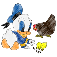 Chicken Animals Chicken Animals