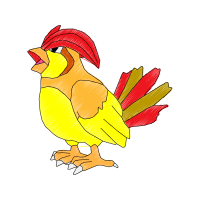 Chicken Animals Chicken Animals